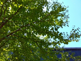 20260713_1.jpg
