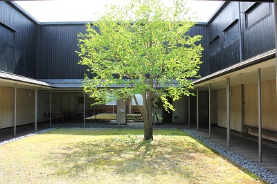 2305299.JPG
