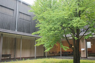 s-IMG_8562.jpg